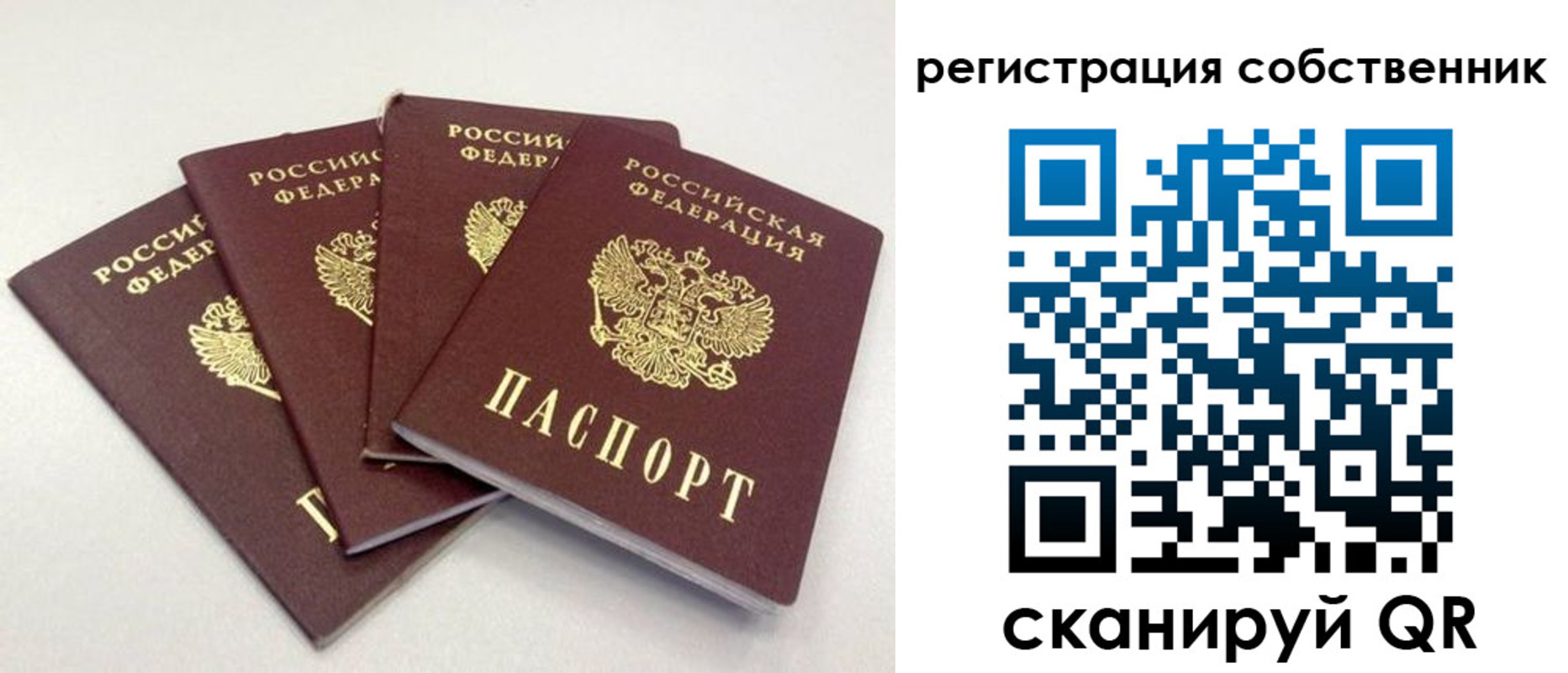 прописка для школы в Новгородской области